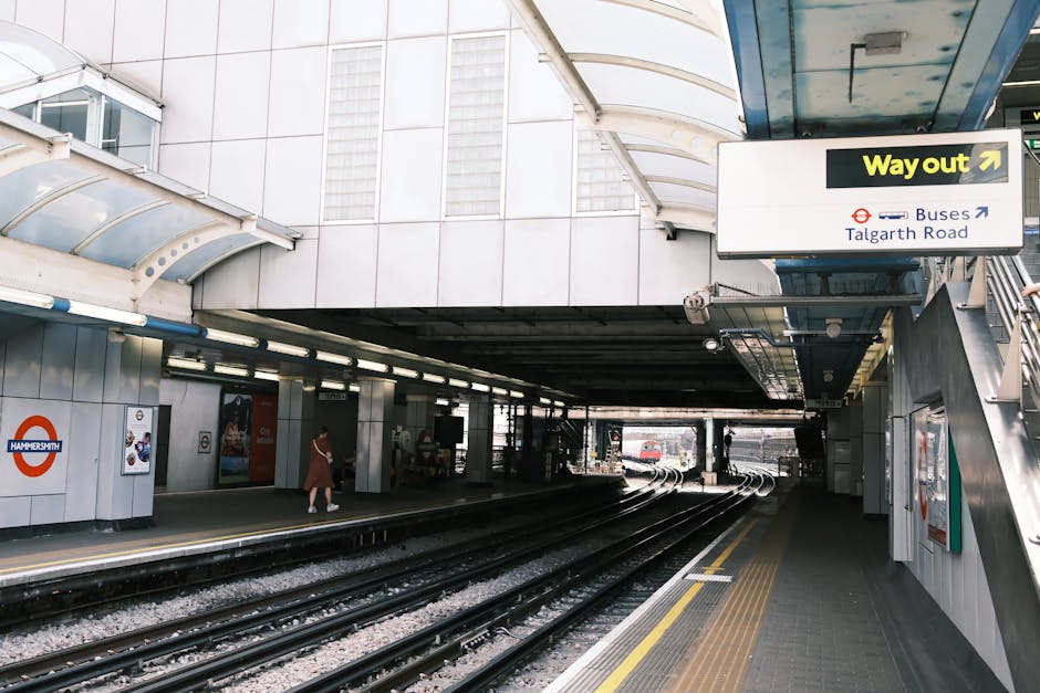 A large white sign with the London Underground roundel and the text 'Ealing Broadway' in blue is situated on a paved platform at a train station. Behind the sign, a modern electro-mechanical train with red, white, and blue livery is stationary on the tracks, with visible windows and doors. To the left, a yellow and black directional arrow signs towards the 'Way out,' with additional signs indicating the district and Elizabeth lines, as well as connections to national rail and bus services. The platform is adjacent to railway tracks with safety rails separating the platform from the trains. In the background, lush green trees under a clear blue sky suggest a sunny day. This scene is consistent with a London tube station, captured during a typical home relocation or furniture transport process that involves coordinating station access and car or van transit managed by companies like Man and Van Eastcote.